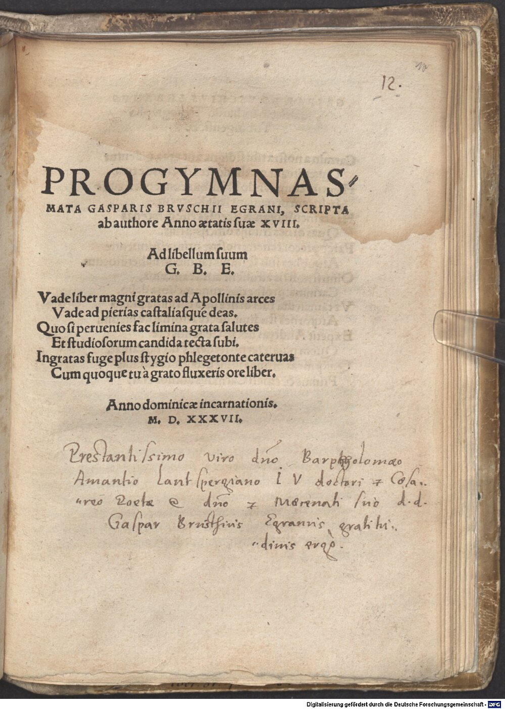 Brusch, Kaspar: Progymnasmata Tubinga 1537 (Res/4 P.o.lat. 474#Beibd.12)