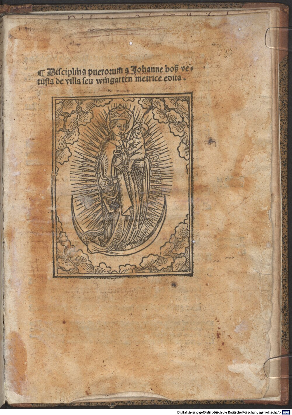 Boß, Johannes: De puerorum disciplina Reutlingen 1502 (Res/4 A.gr.a. 442#Beibd.1)