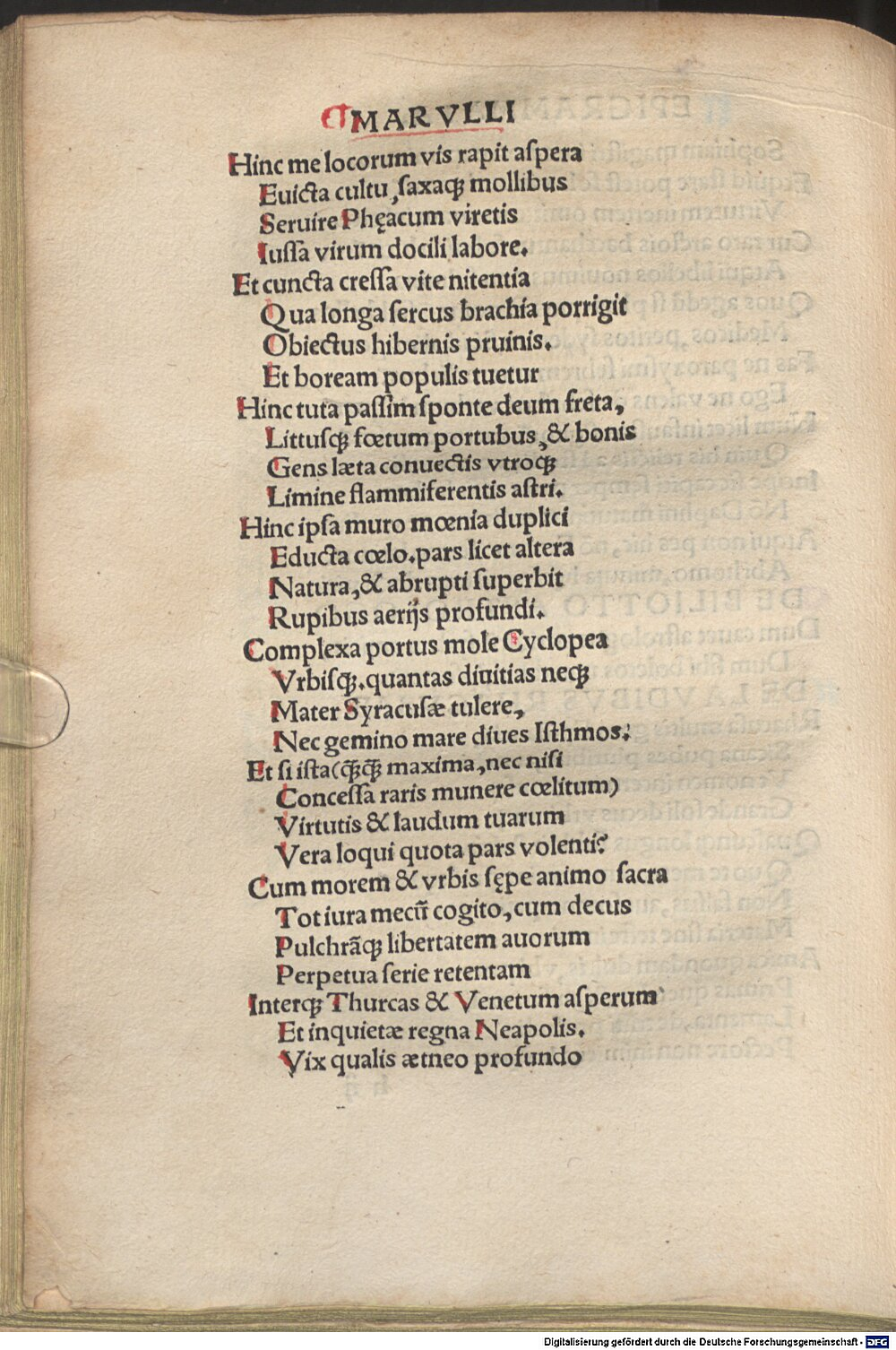 zdenostratibus [Klafil]