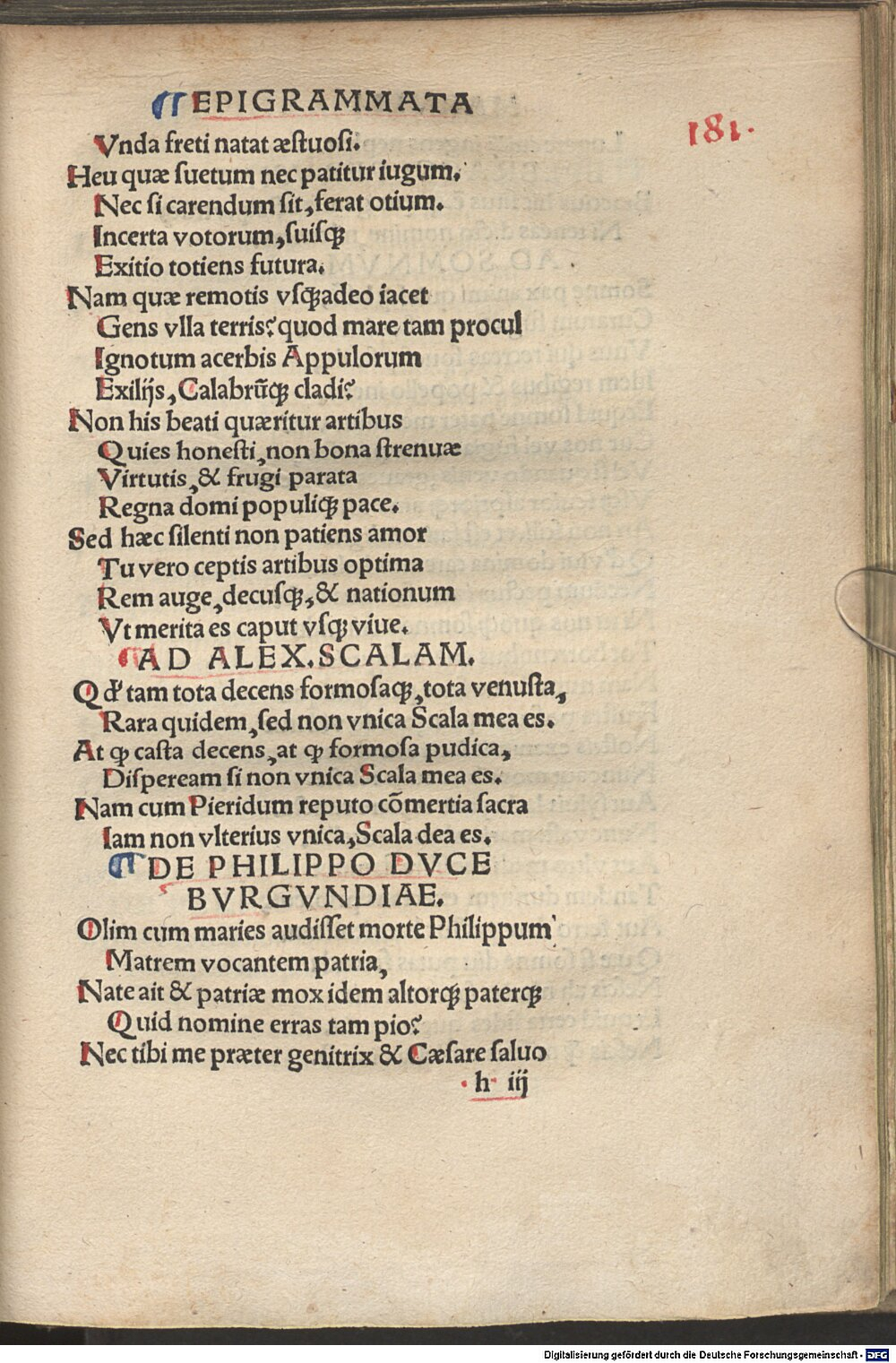 zdenostratibus [Klafil]