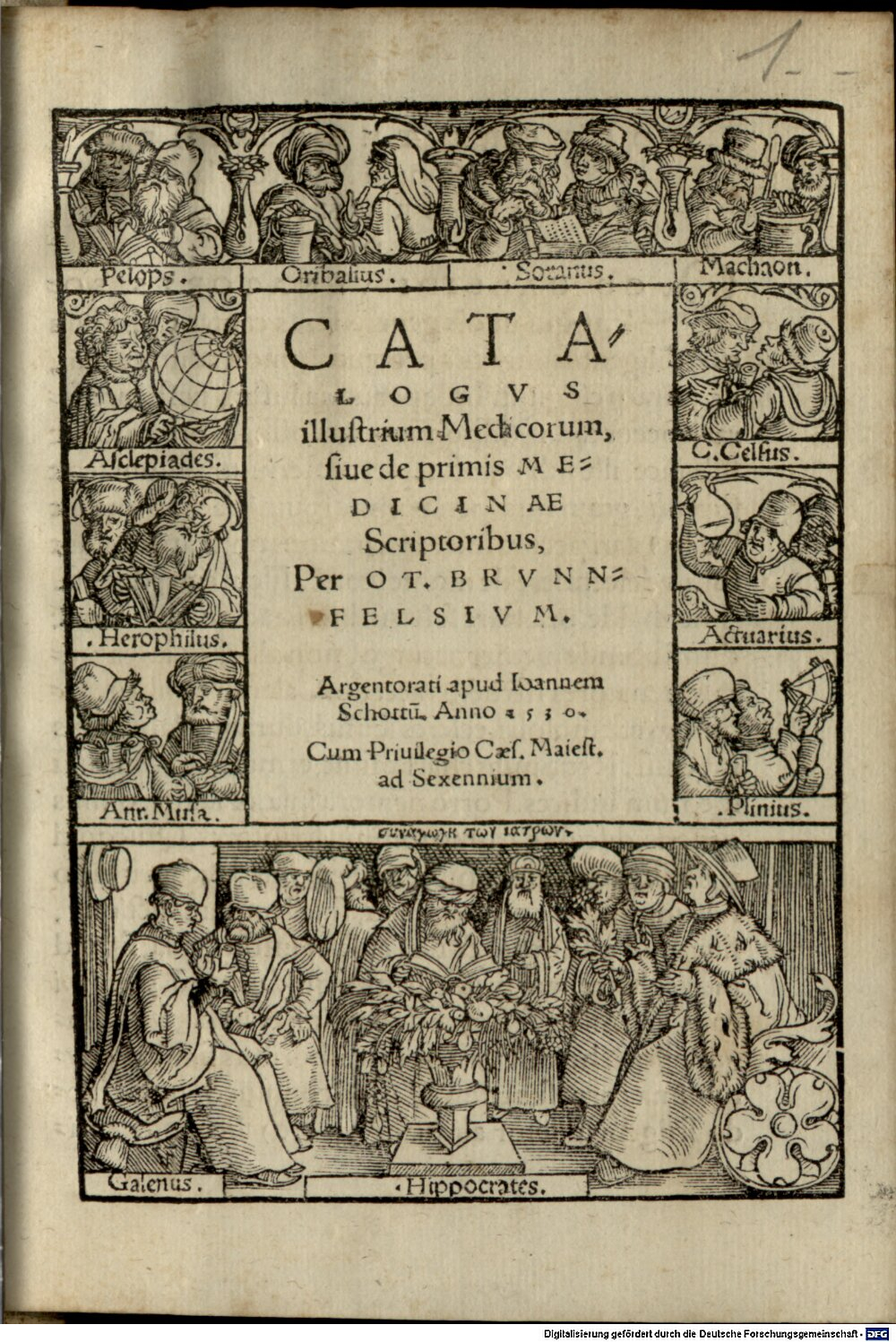 Brunfels, Otto: Catalogvs illustrium Medicorum, siue de primis Medicinae Scriptoribus Argentoratum 1530 (4 A.gr.b. 1186#Beibd.1)