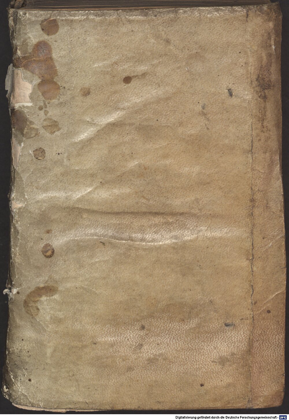 Aristoteles: Organum Francofurtum 1592 (A.gr.b. 548)