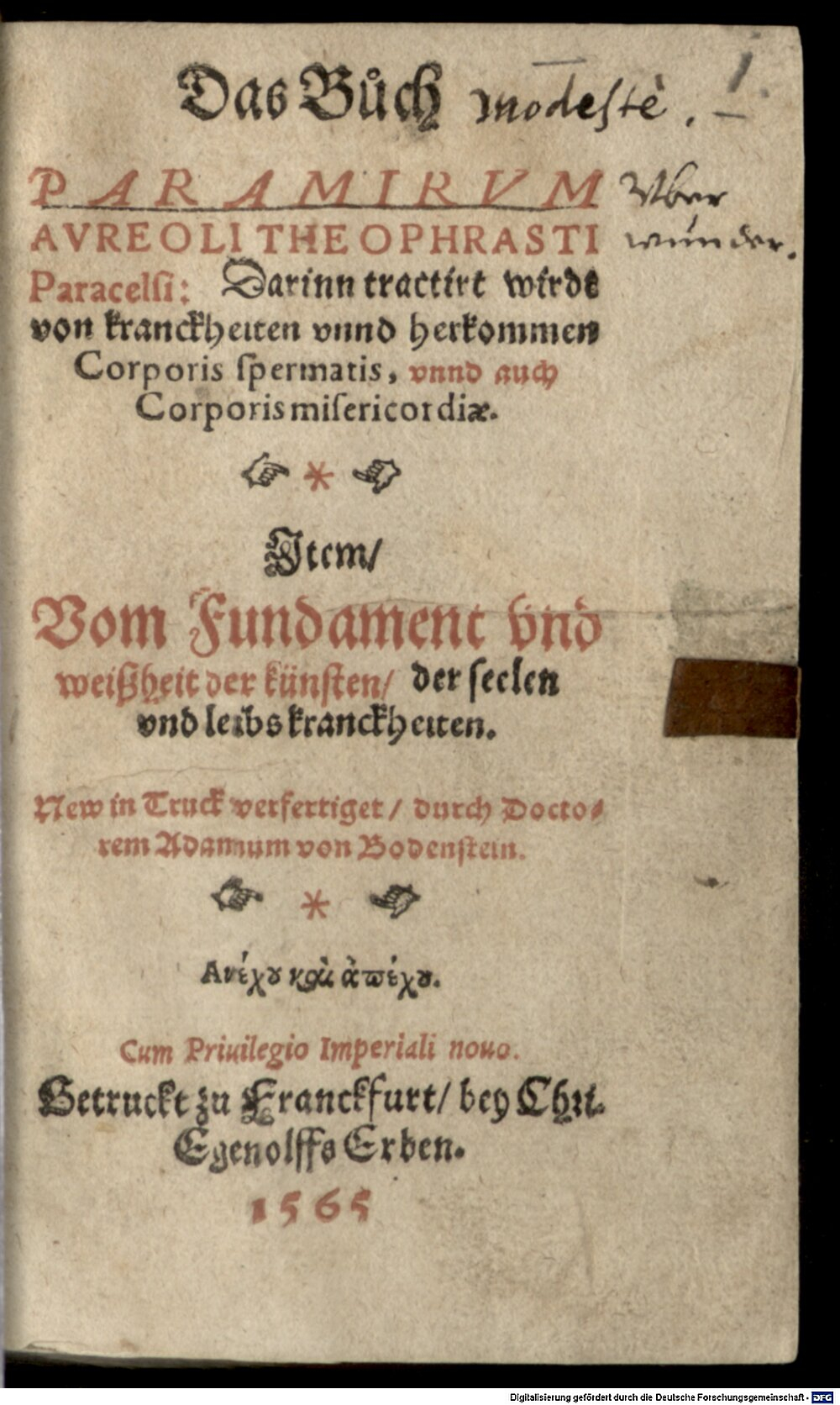 Paracelsus: Das Buch Paramirum Aureoli Theophrasti Paracelsi Franckfurt 1565 (Alch. 206 b#Beibd.1)