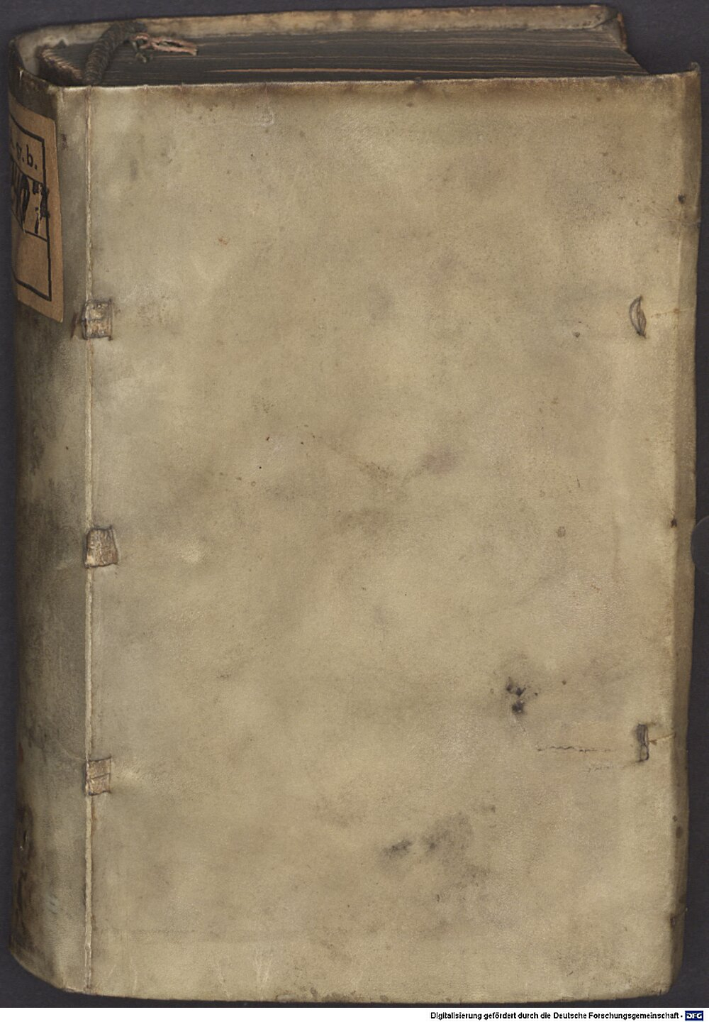Xenophon: Hippocomicus, quae est disputatio de curandis equis Lipsiae 1556 (A.gr.b. 3407)