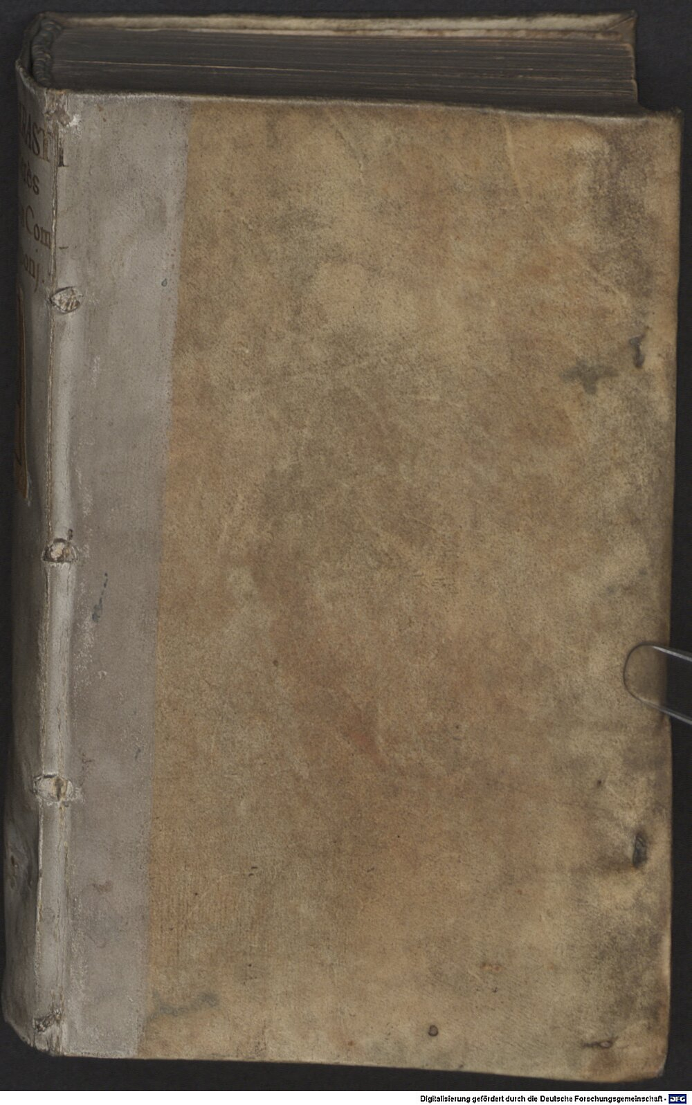 Theophrastus: Characteres ethici Lugdunum 1592 (A.gr.b. 3225)