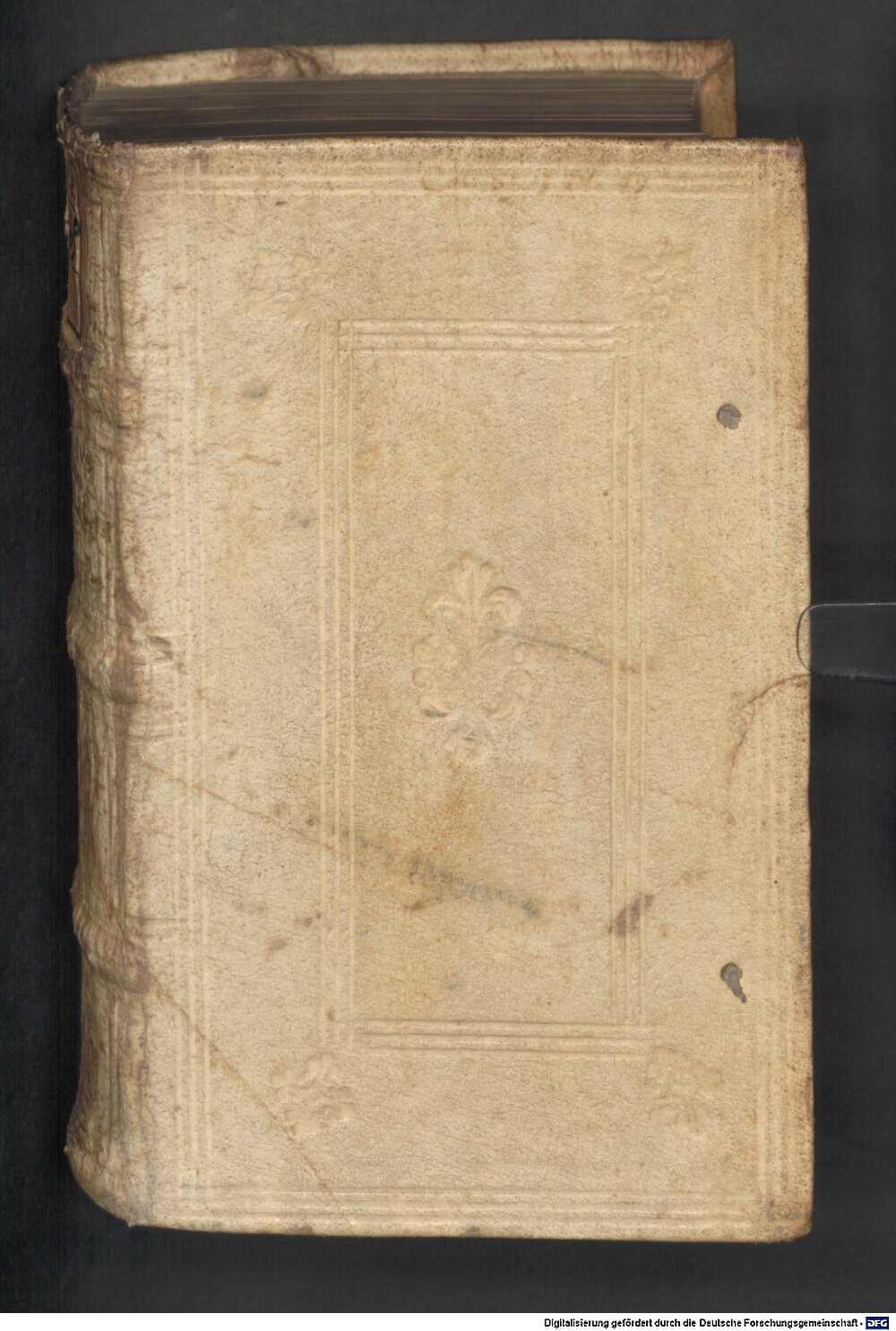 Terentius Afer, Publius: Commentaria In Omnes Terentii Fabvlas Compendiosa Coloniae 1555 (A.lat.a. 1868)