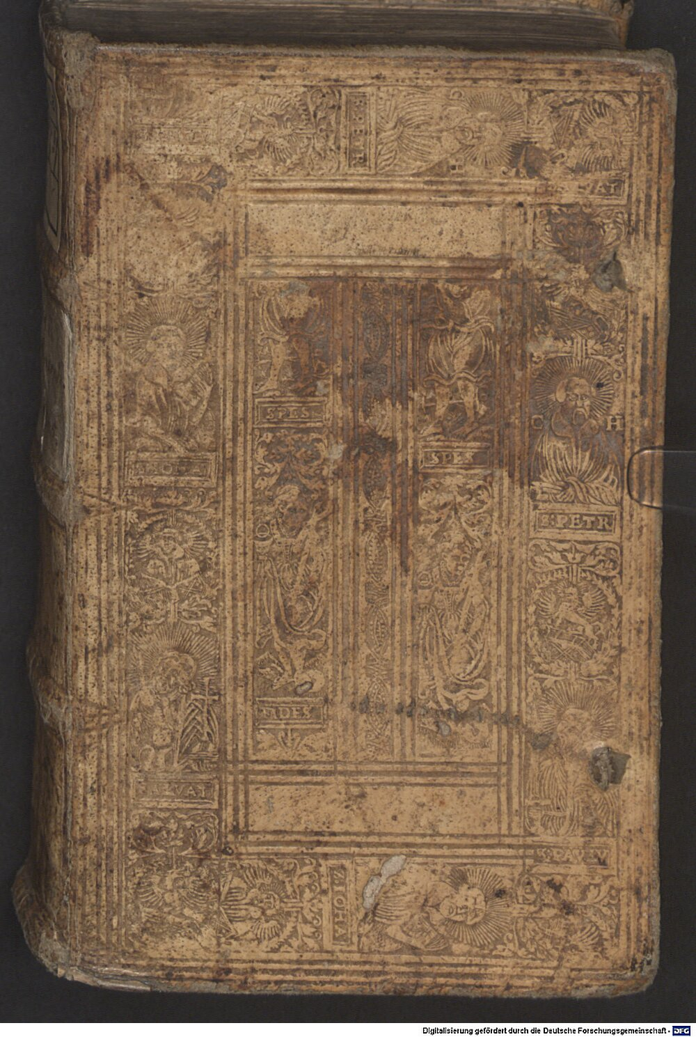 Ovidius Naso, Publius: Metamorphoseon libri XV. Colonia 1565 (A.lat.a. 1174)
