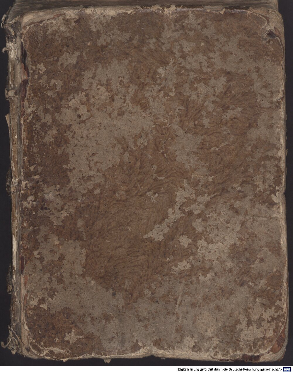Mathesius, Johannes: Historien, Von deß Ehrwürdigen in Gott seligen theuren Manns Gottes, D. Martin Luthers, Anfang, Lehre, Leben, standhaffter Bekenntnuß seines Glaubens, und sterben Nürnberg 1600 (Biogr. 3326 i)