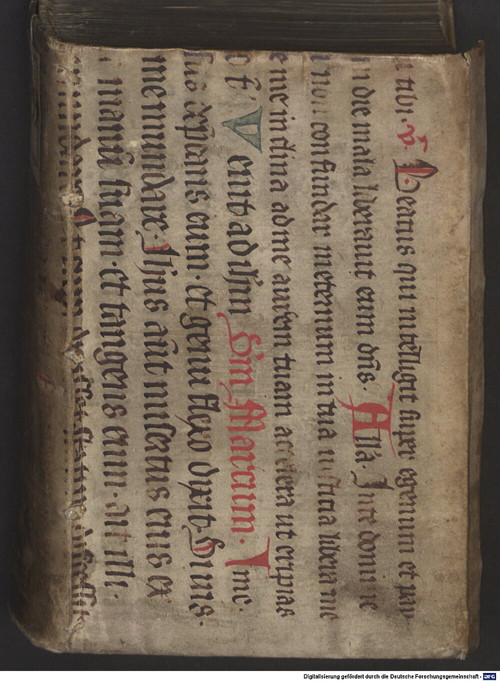 Lucanus, Marcus Annaeus: De bello civili apud Pharsaliam Colonia Agrippina 1560 (A.lat.a. 744)