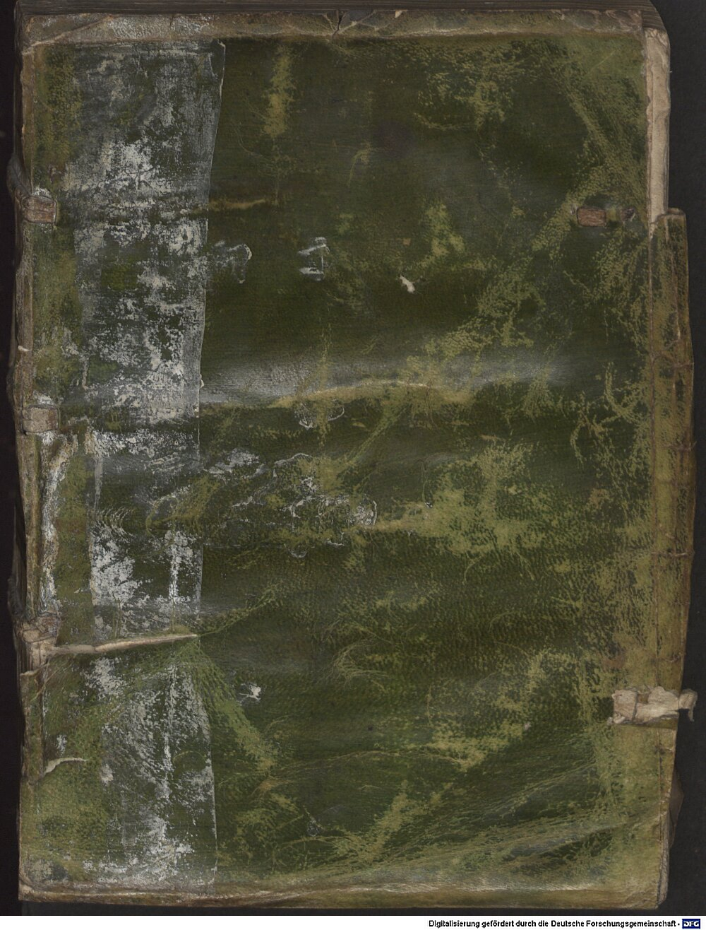 Plinius Secundus, Gaius: C. Plinij Liber Secundvs, De Mvndi Historia Francoforti 1563 (4 A.lat.b. 401)