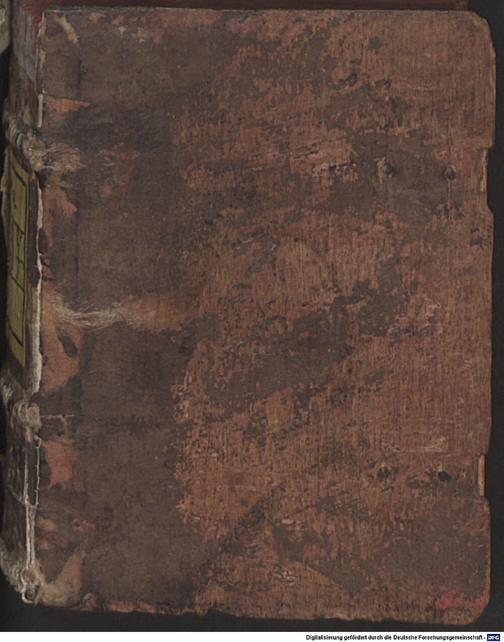 Michaelis, Petrus: Serta honoris Colonia 1567 (Asc. 3237)