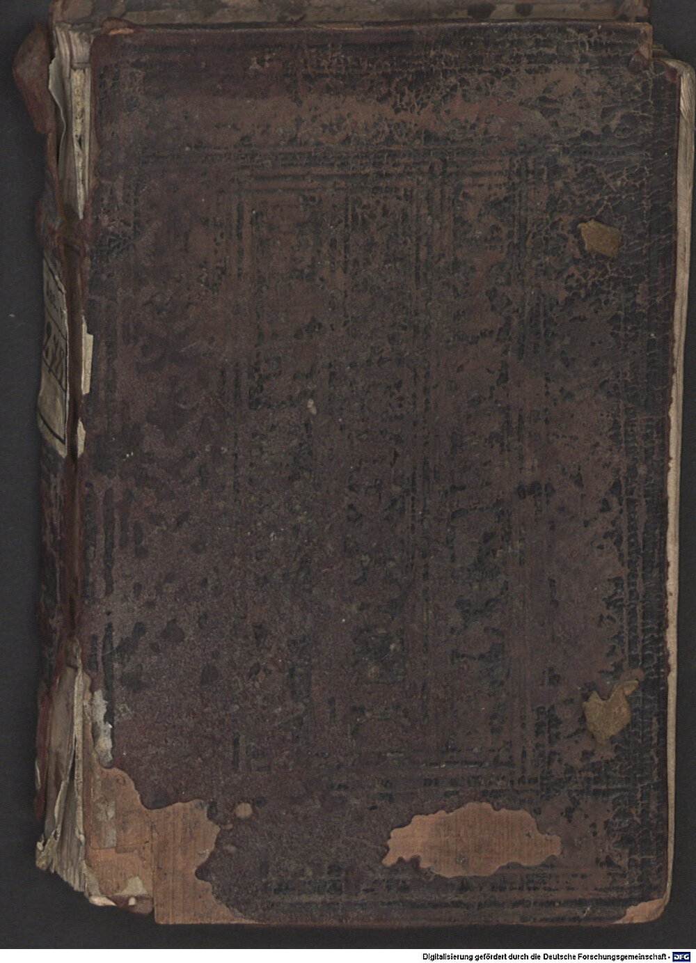 Molther, Menrad: Testament und abschrifft der zwölff Patriarchen der Sünen Jacobs Augspurg 1544 (Asc. 3278)