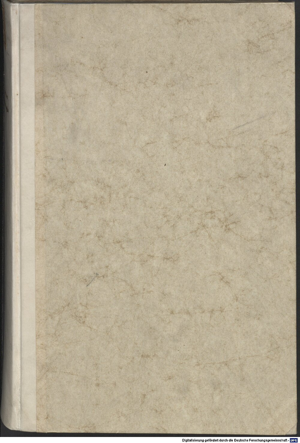 Buchholzer, Abraham: Chronologia Gorlicium 1585 (4 Chrlg. 205 v)