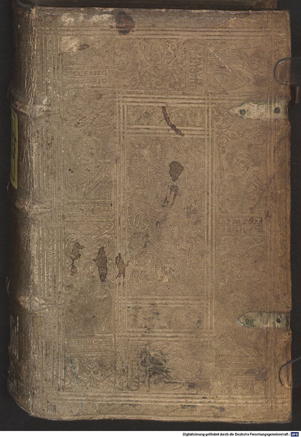 Witzel, Georg: Catechismus ecclesiae Cölln 1555 (Catech. 675)