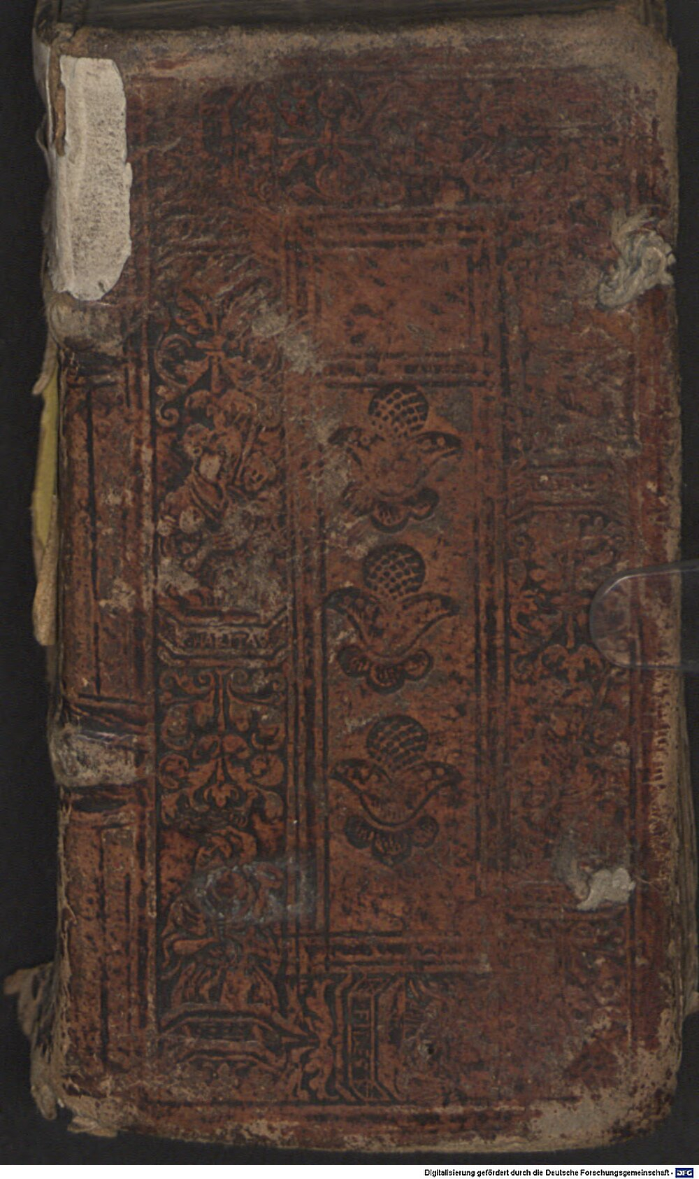 Rhegius, Urbanus: SeelenErtzney für die gesunden vnnd krancken, inn tods nöten Nürmberg 1548 (Asc. 4042)