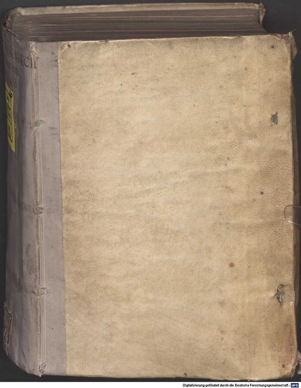 Wesenbeck, Matthaeus: Matthaei Wesenbecii ... Responsorum sive consiliorum, quibus gravissimae iuris utriusque controversiae deciduntur, pars ... Francofurti 1600 (4 Decis. 147-1/2#1)