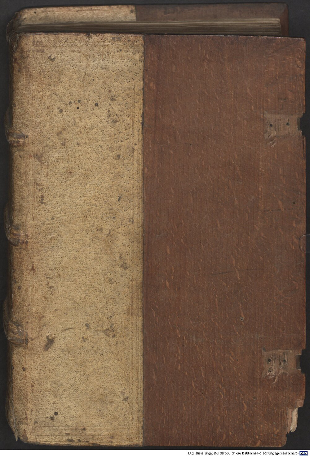Bugenhagen, Johannes: Ioannis Bvgenhagii Pomerani In Librvm Psalmorvm Interpretatio Basileae 1524 (4 Exeg. 113)