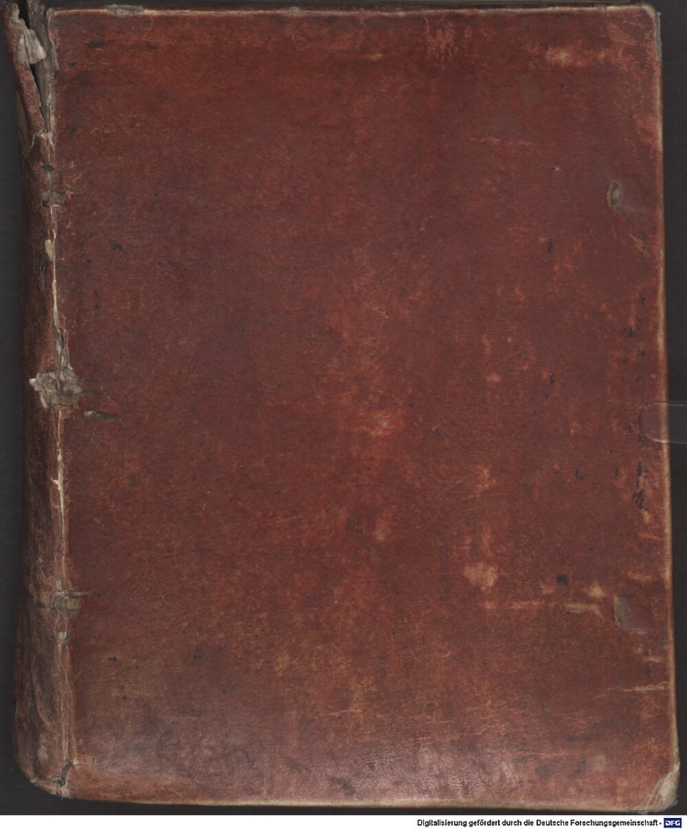 Zanchi, Girolamo: In Hoseam primum et difficilimum ... prophetam Commentarius Neostadium 1600 (4 Exeg. 959)