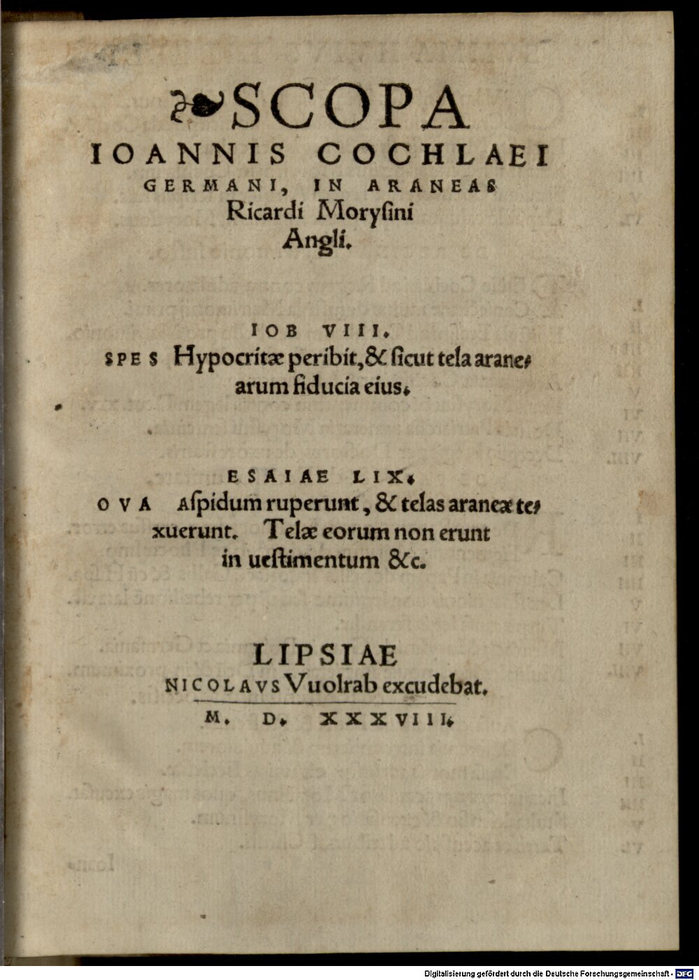 Cochlaeus, Johannes: Scopa Ioannis Cochlaei Germani, In Araneas Ricardi Morysini Angli Lipsiae 1538 (4 J.can.p. 207#Beibd.2)
