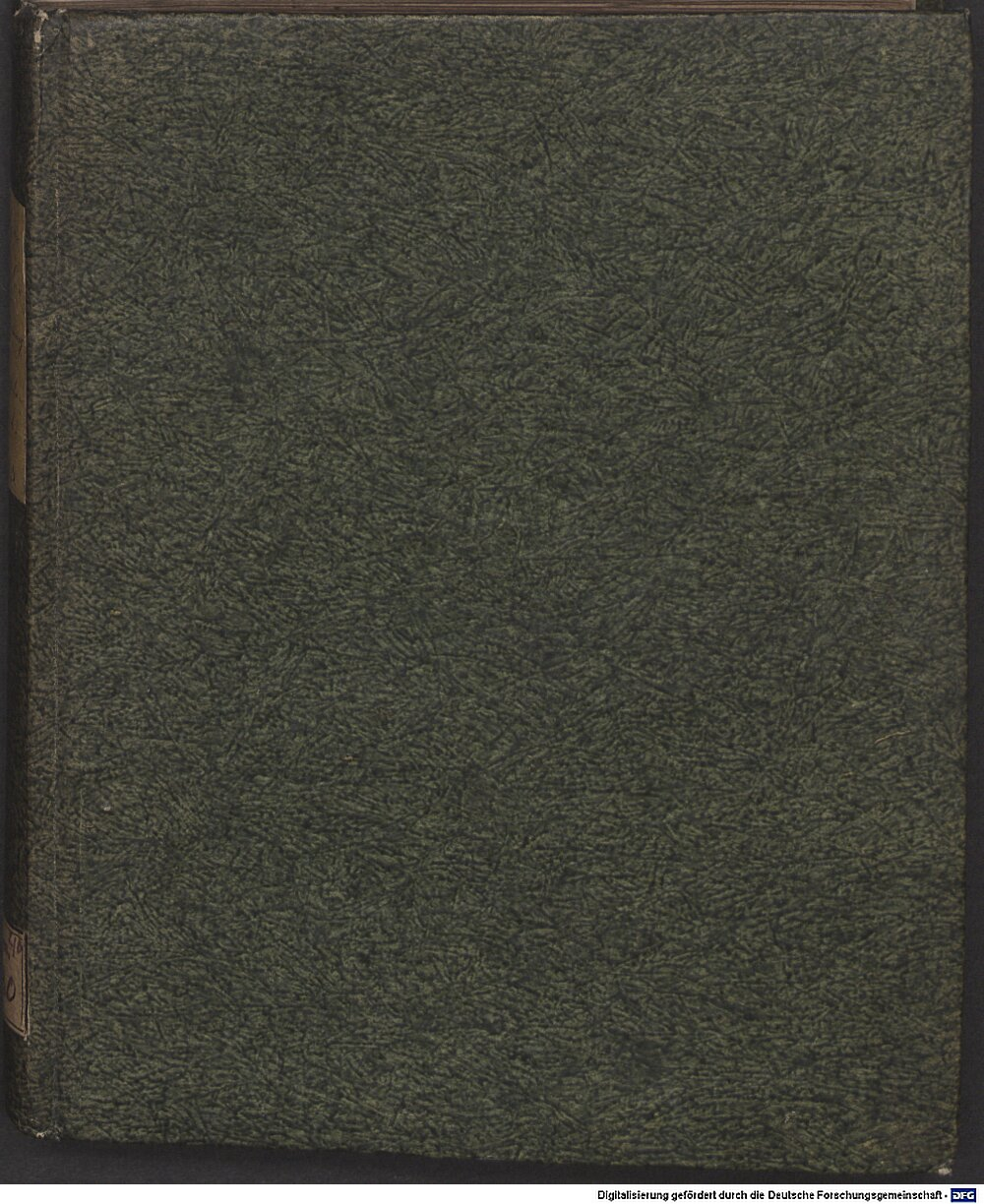 Sauter, Caspar: Erklärung des h. Propheten Joels und in 18 unterschiedlichen Predigten verfasset Frankfurt a. M. 1593 (4 Hom. 1930)