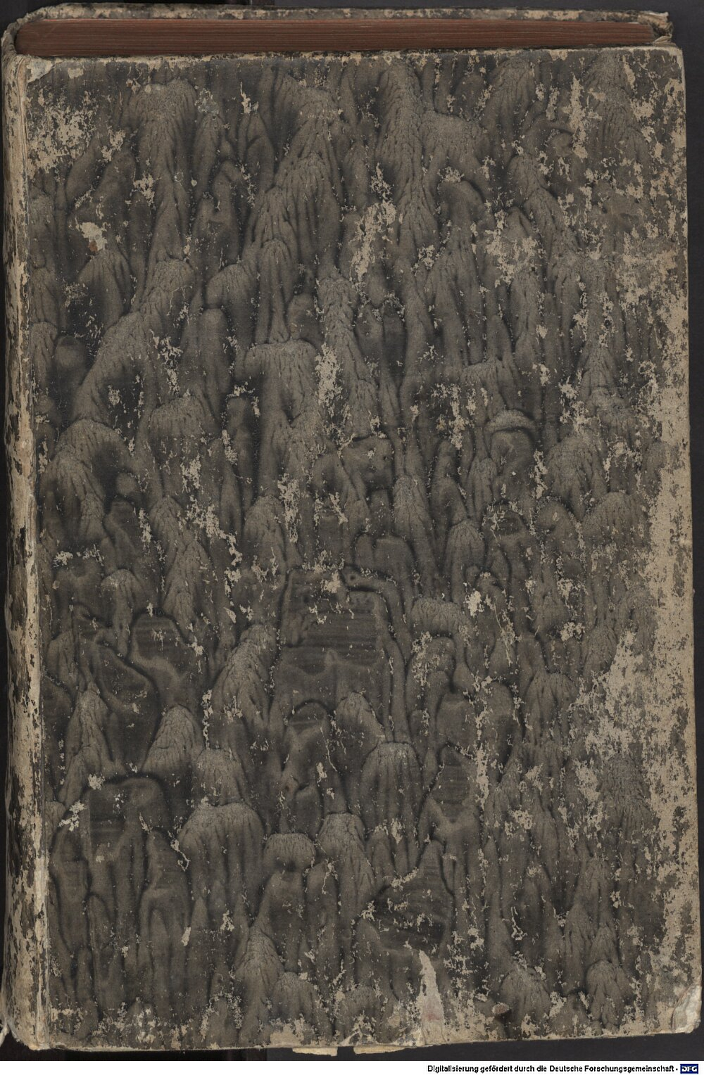 Eike <von Repgow>: Sachssenspigell Leyptzigk 1535 (Res/4 J.germ. 303 d)