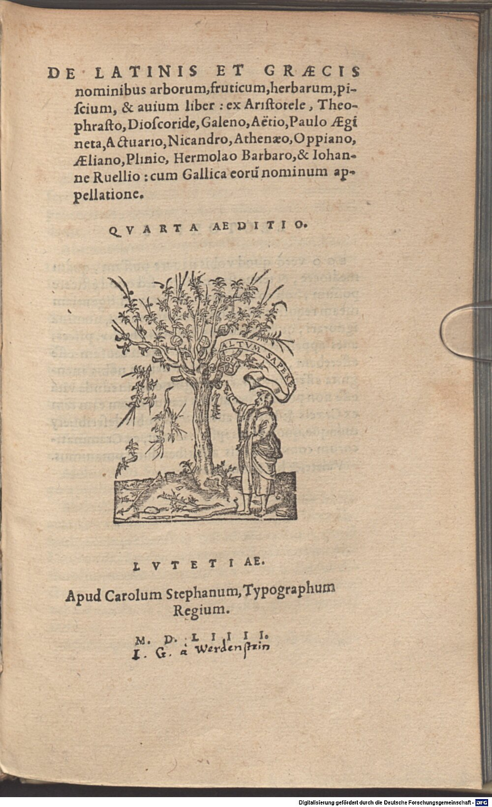 Aristoteles: De Latinis et Graecis nominibus arborum, fruticum Lutetia 1554 (Res/Polygl. 65#Beibd.1)