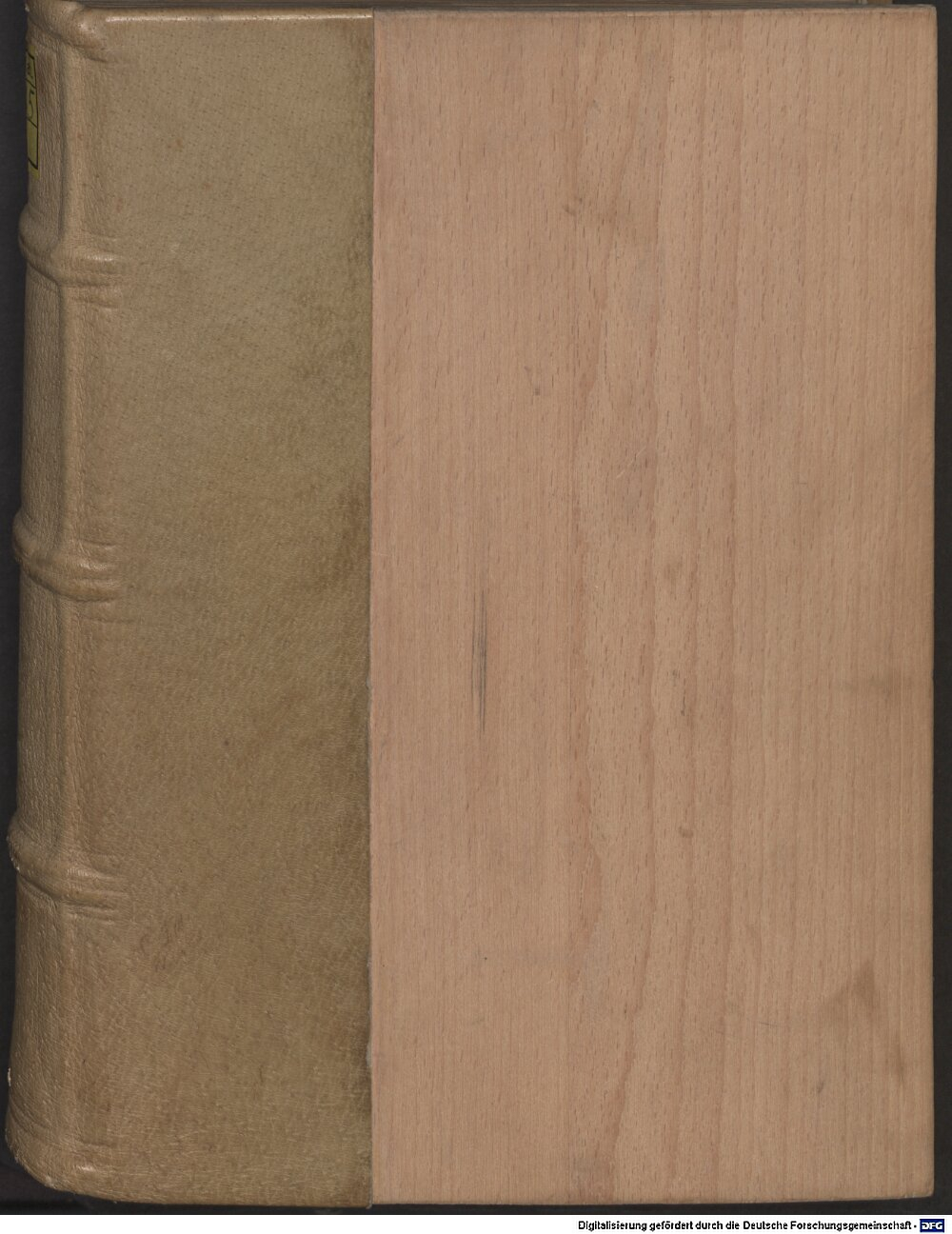 Dionysius <Cartusianus>: In septem Epistolas ... Canonicas in Acta Apostolorum ... Enarrationes Coloniae 1565 (2 P.lat. 485)
