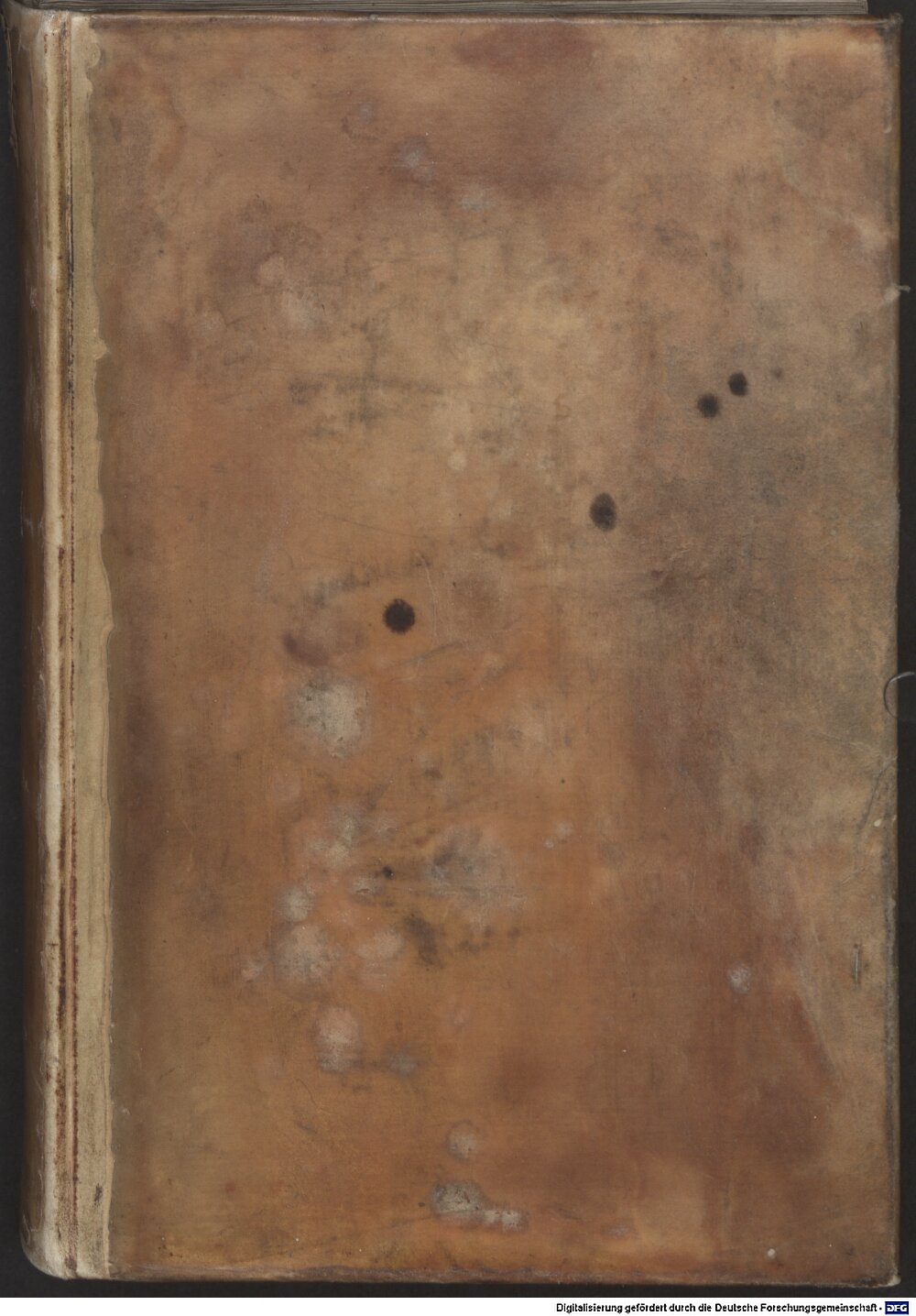 Giovio, Paolo: Elogia veris clarorum virorum imaginibus apposita Venetia 1546 (2 Biogr.c. 46)