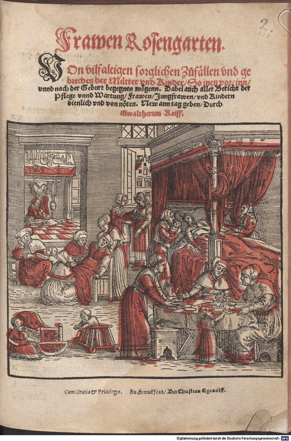 Ryff, Walther Hermann: Frawen Rosengarten Frankfurt 1545 (Res/2 M.med. 71 m#Beibd.2)