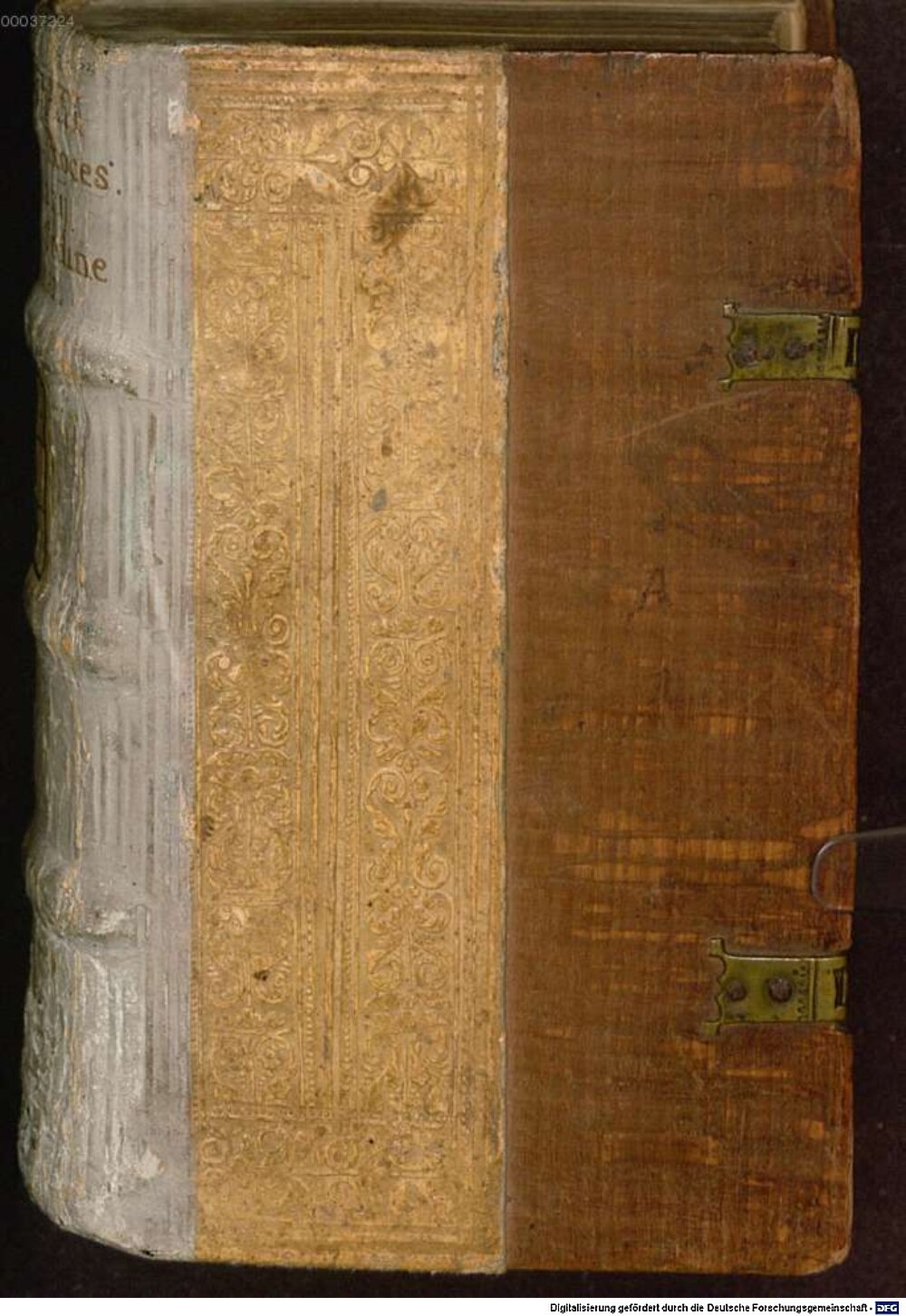 Alciati, Andrea: Iudiciarii processus compendium Coloniae 1537 (J.pract. 4)