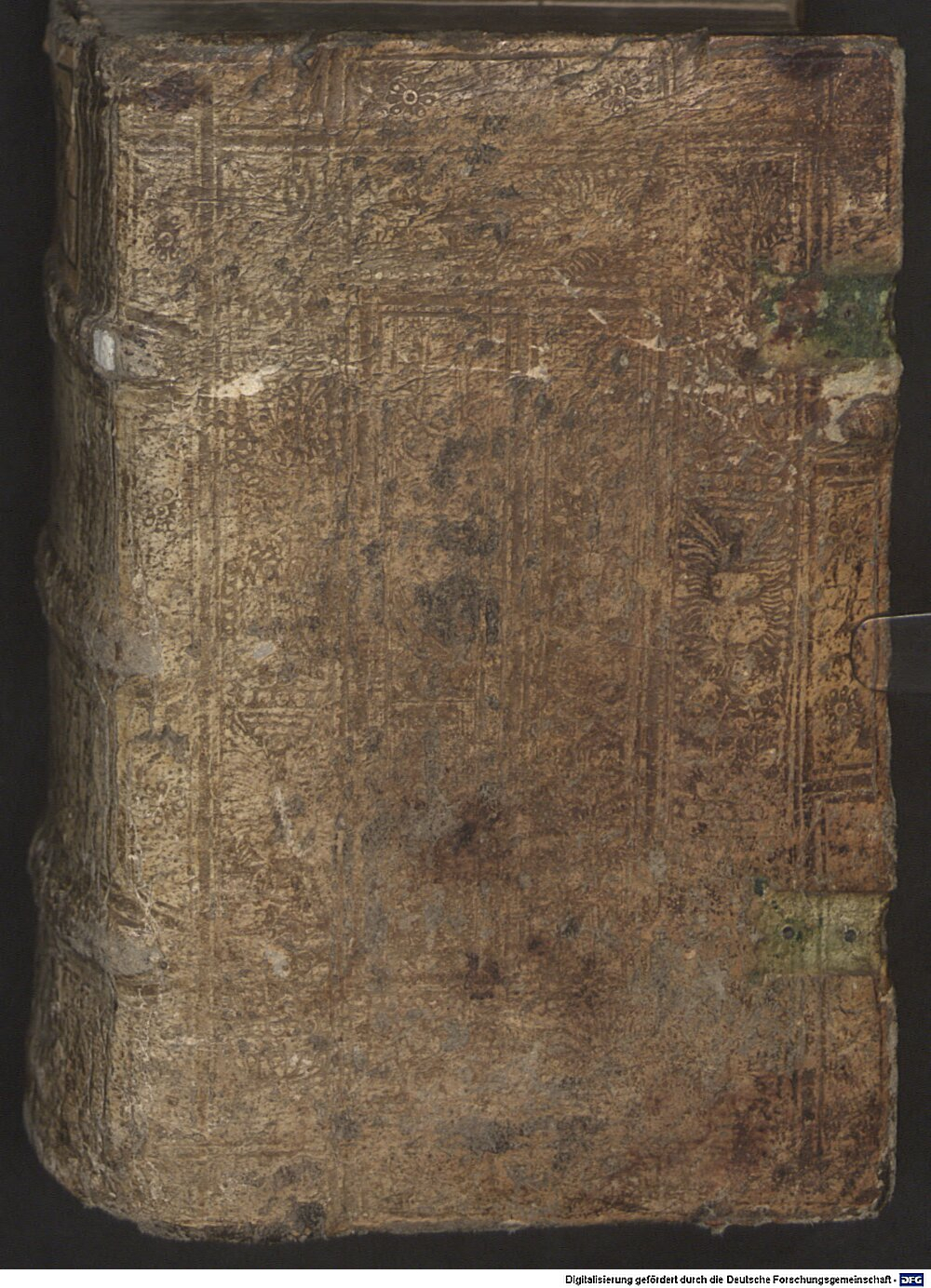 Castellesi, Adriano: De sermone latino et modis latine loquendi Colonia Agrippina 1529 (L.lat. 383)