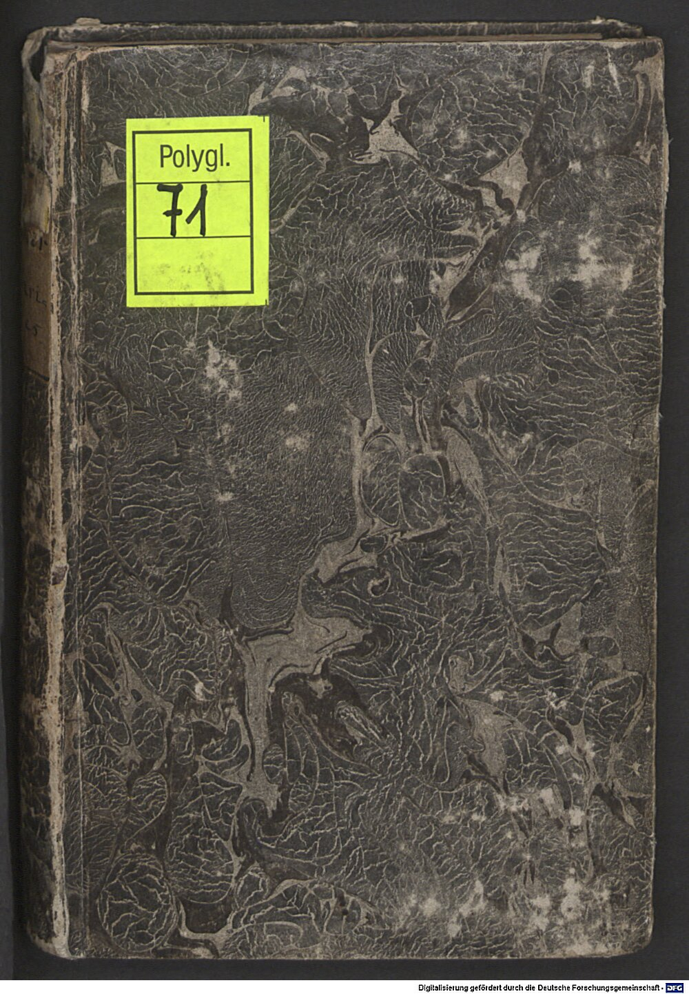 Gessner, Conrad: Mithridates (sive) de differentiis linguarum Tiguri 1555 (Polygl. 71)