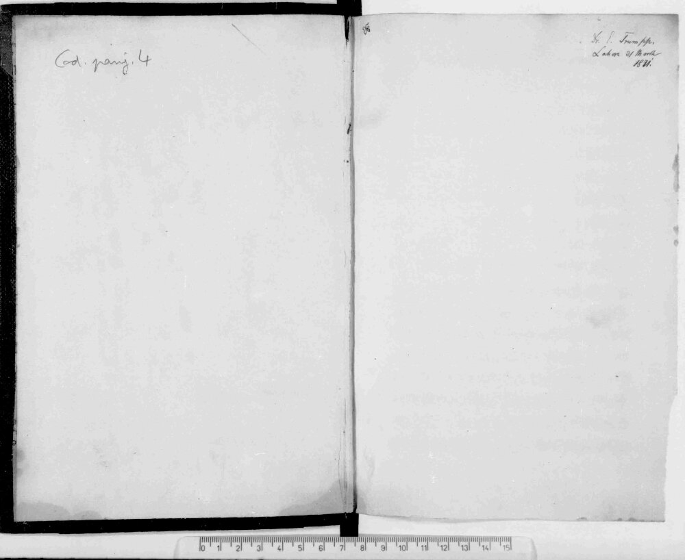 Trumpp, Ernst: Commentary to the ?di Granth - BSB Cod.panj. 4 Lahore 1871 (Cod.panj. 4)