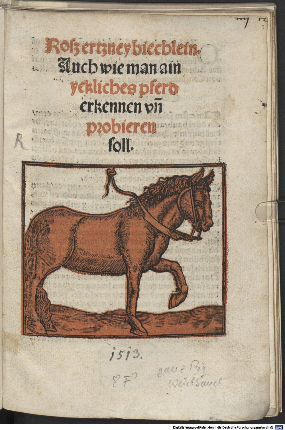 Albrant <der Meister>: Roßartzney-Büchlin Augsburg 1513 (Res/4 A.vet. 0 fn)