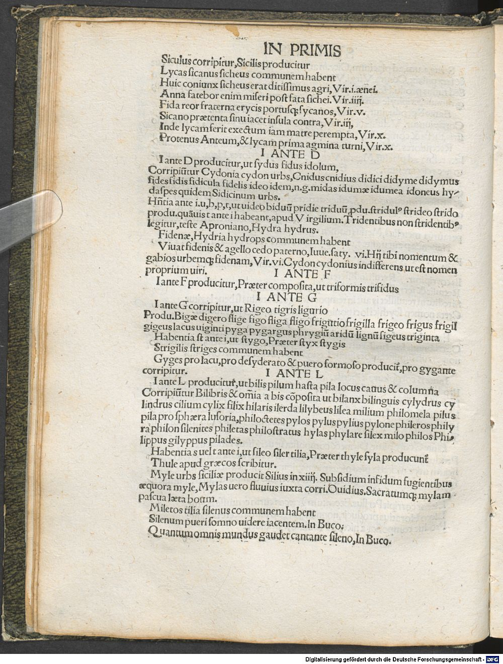 Image