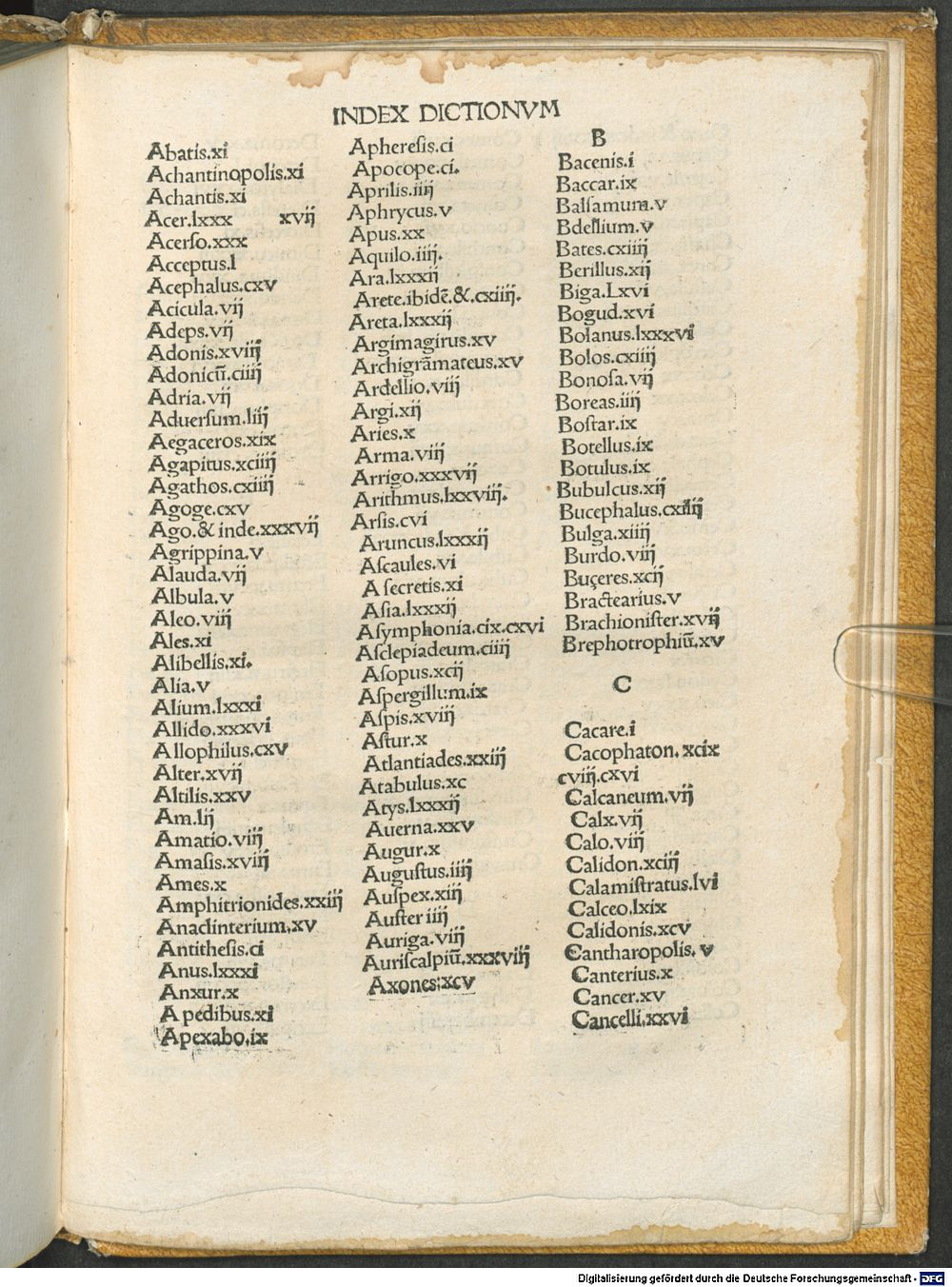 Image