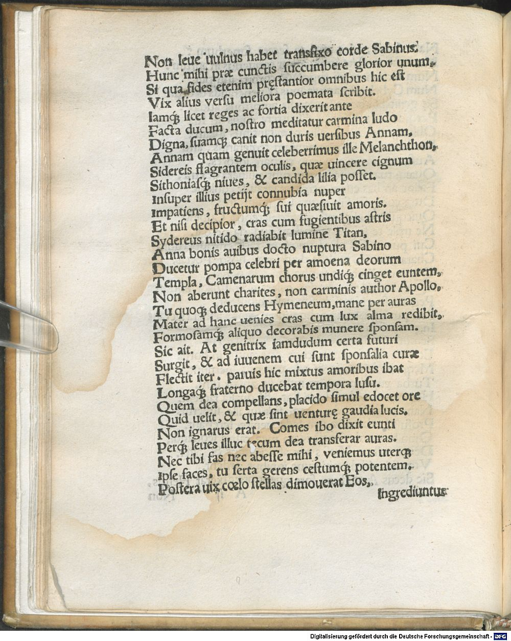 Image