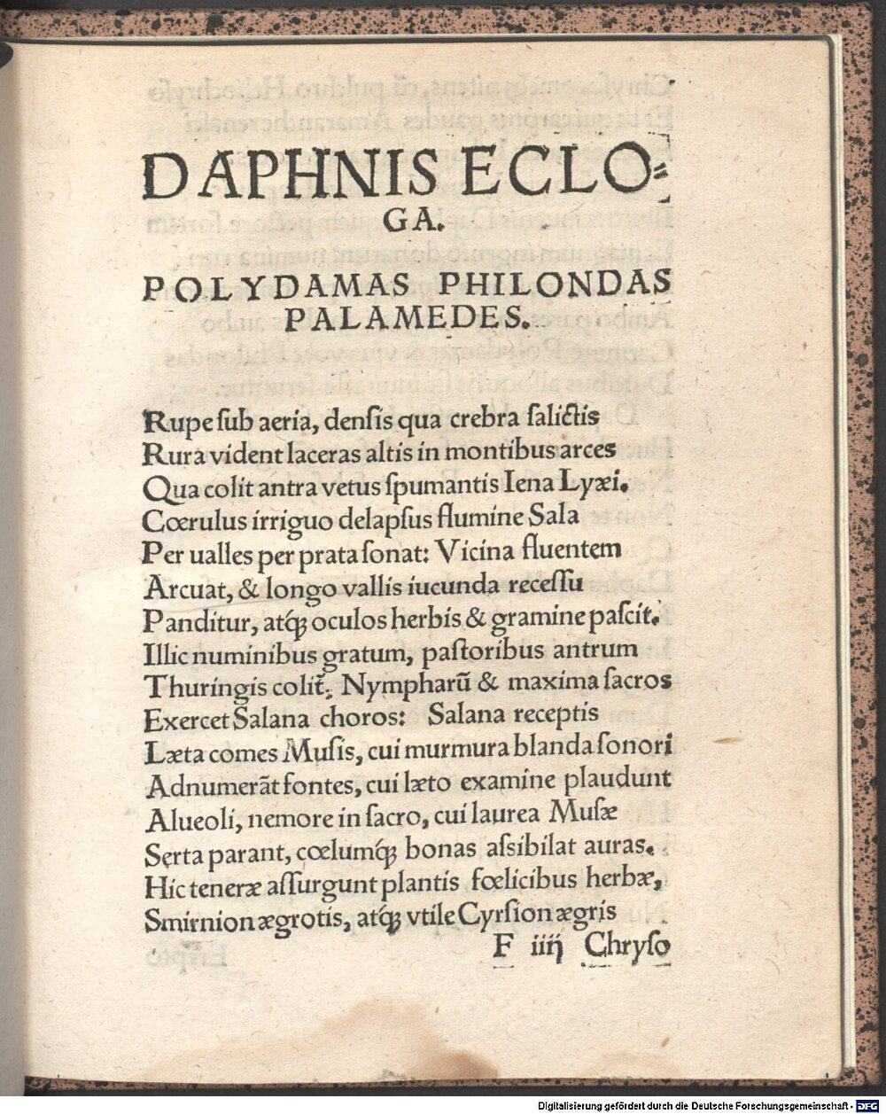 Image
