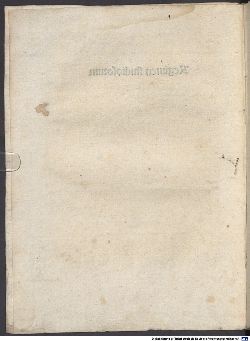 Image