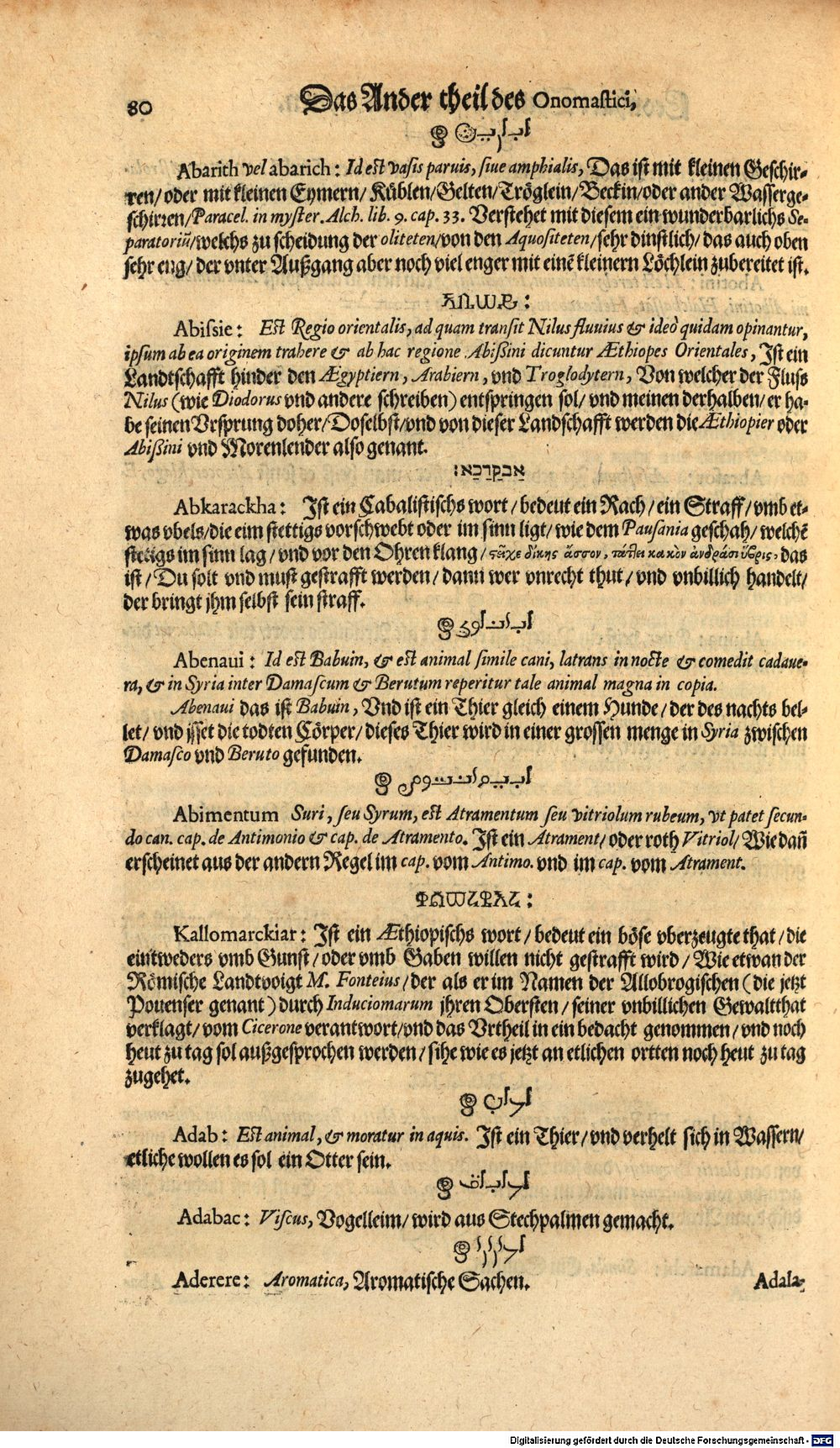 Image