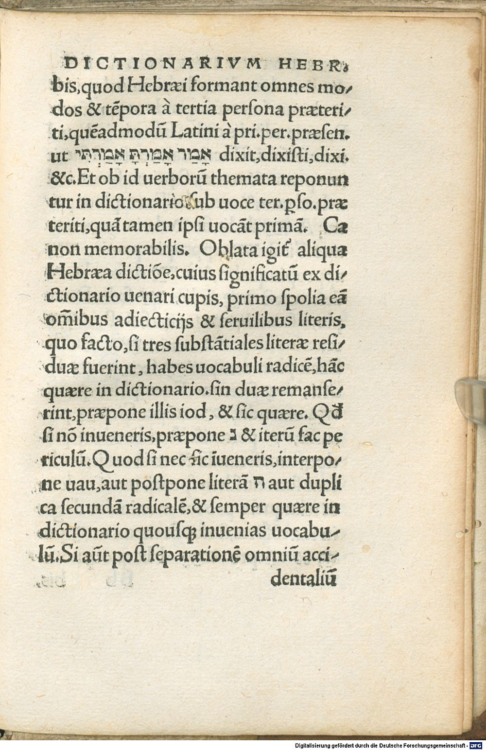 Image