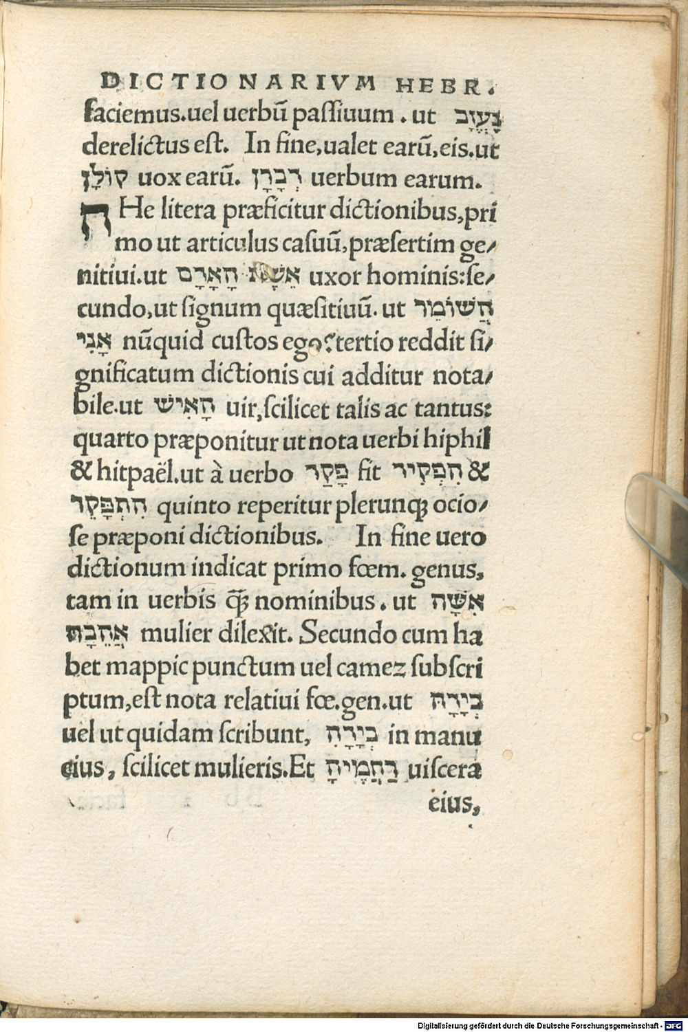 Image