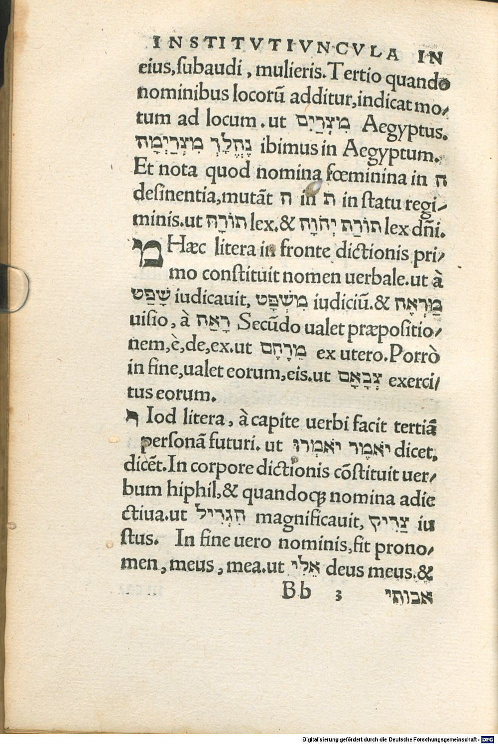 Image