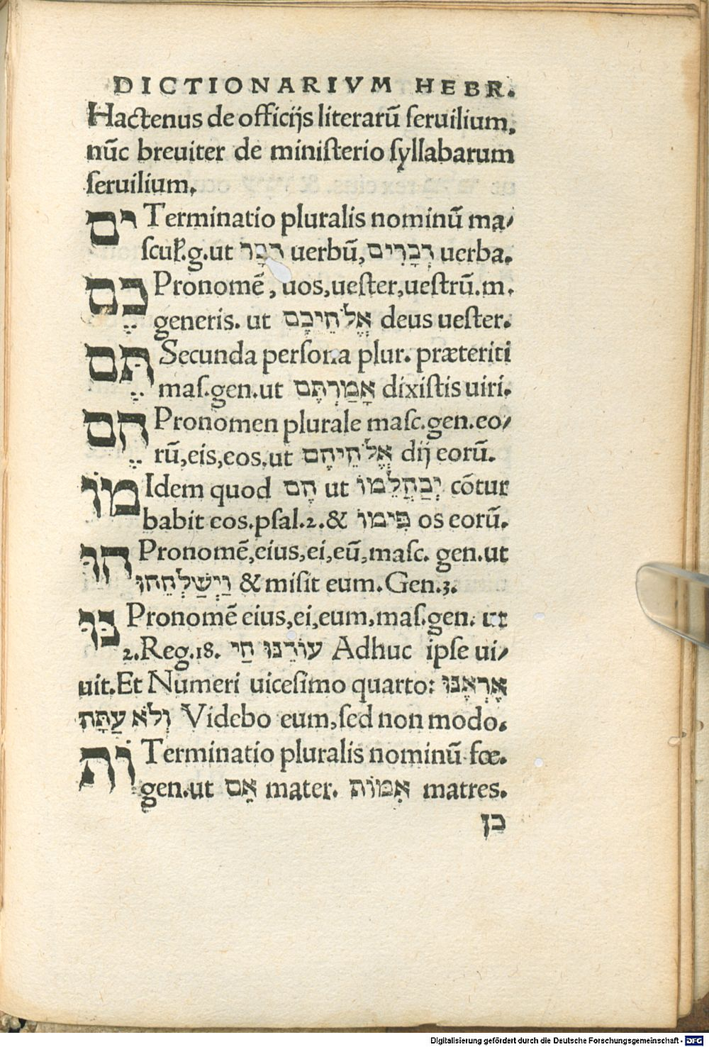 Image