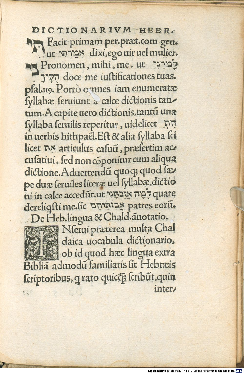 Image