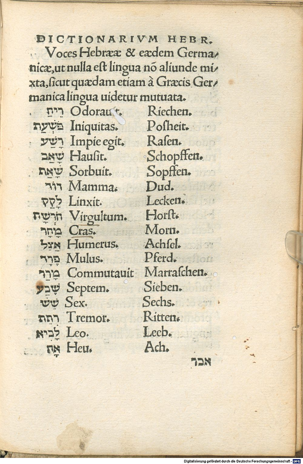 Image