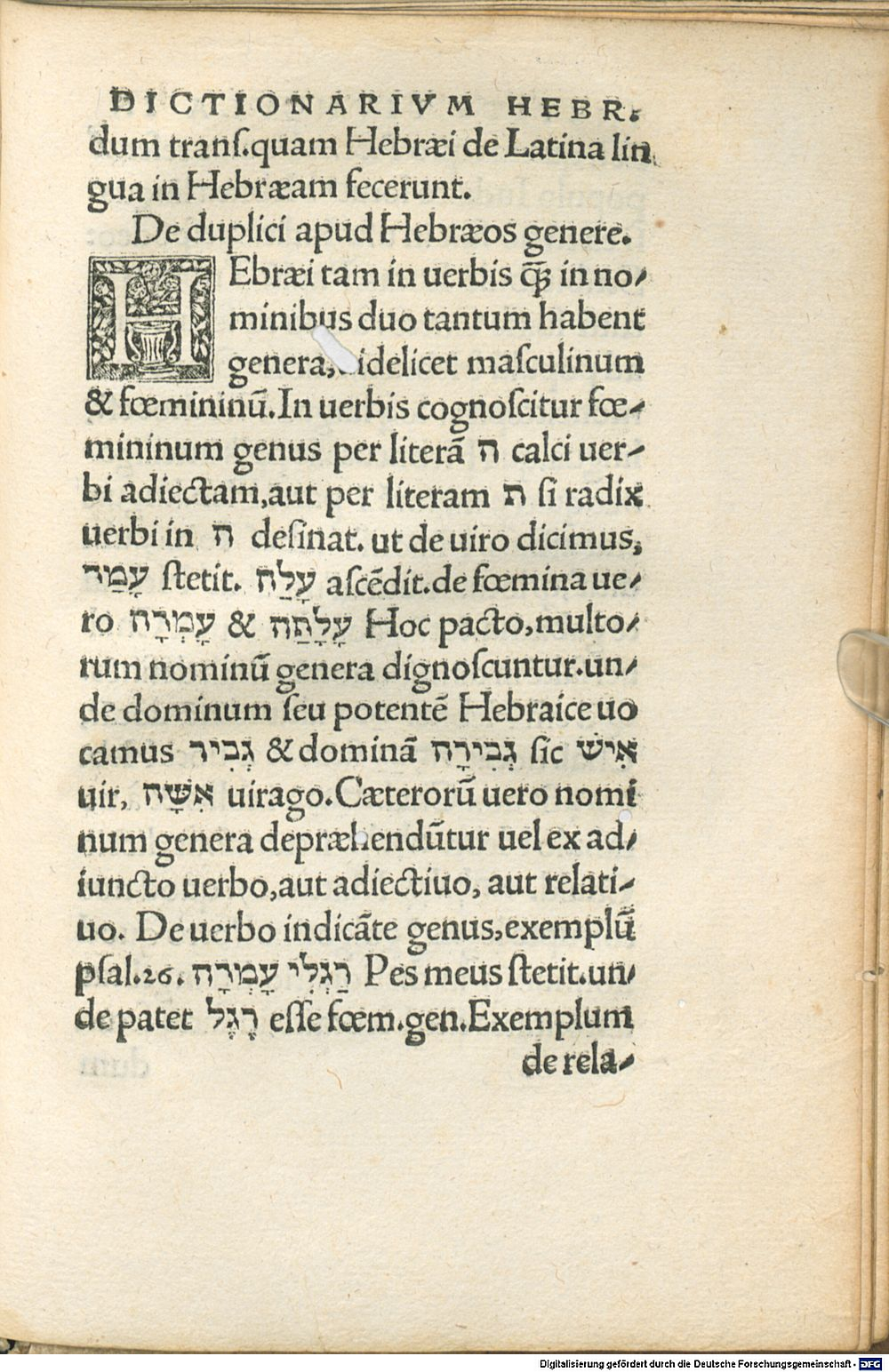 Image
