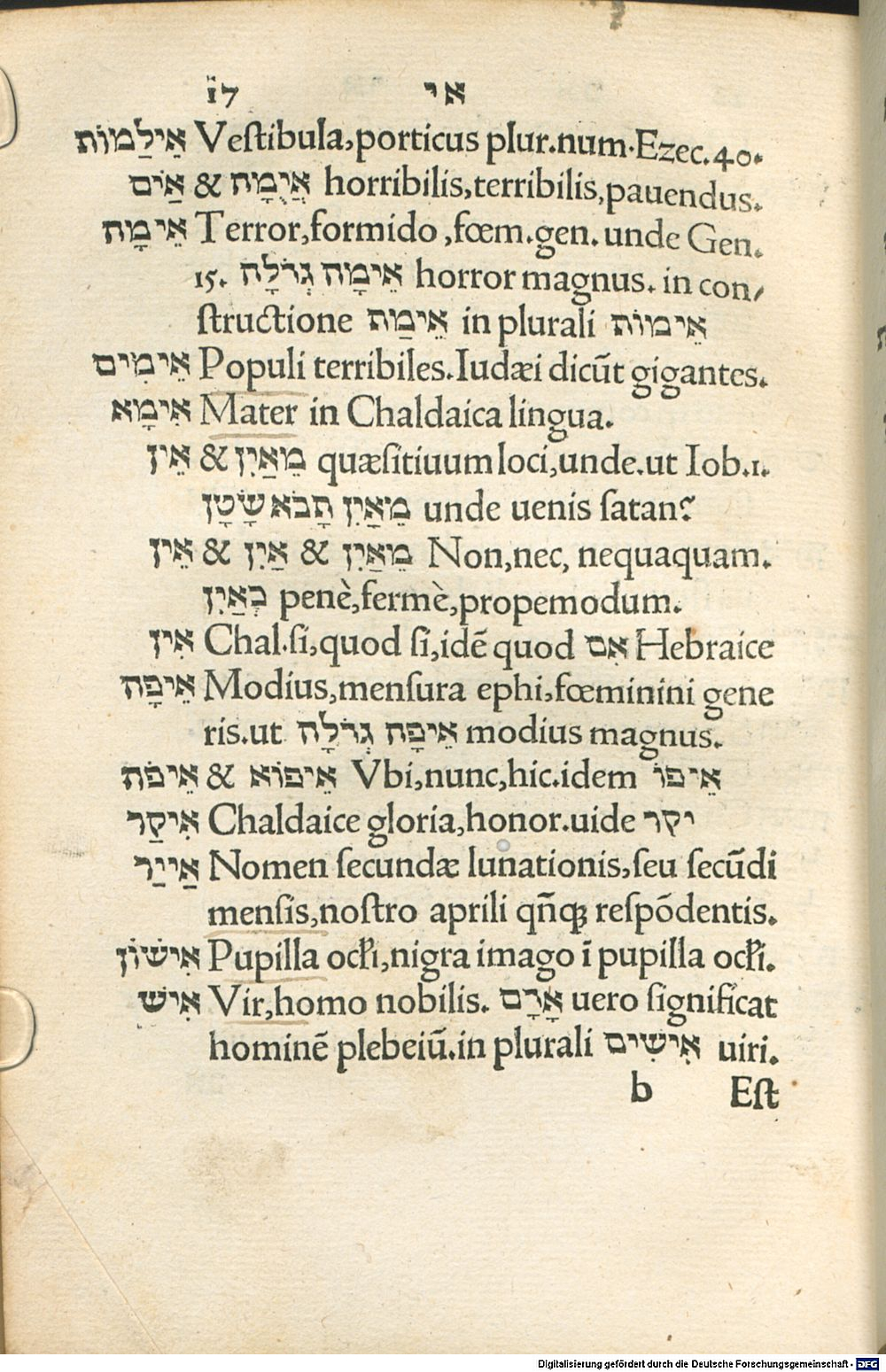 Image