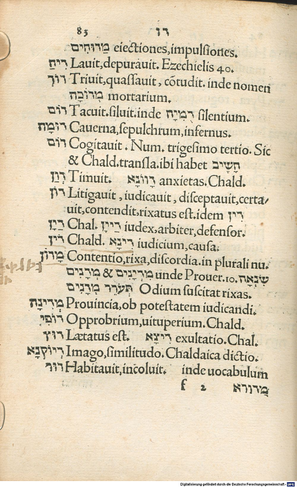 Image