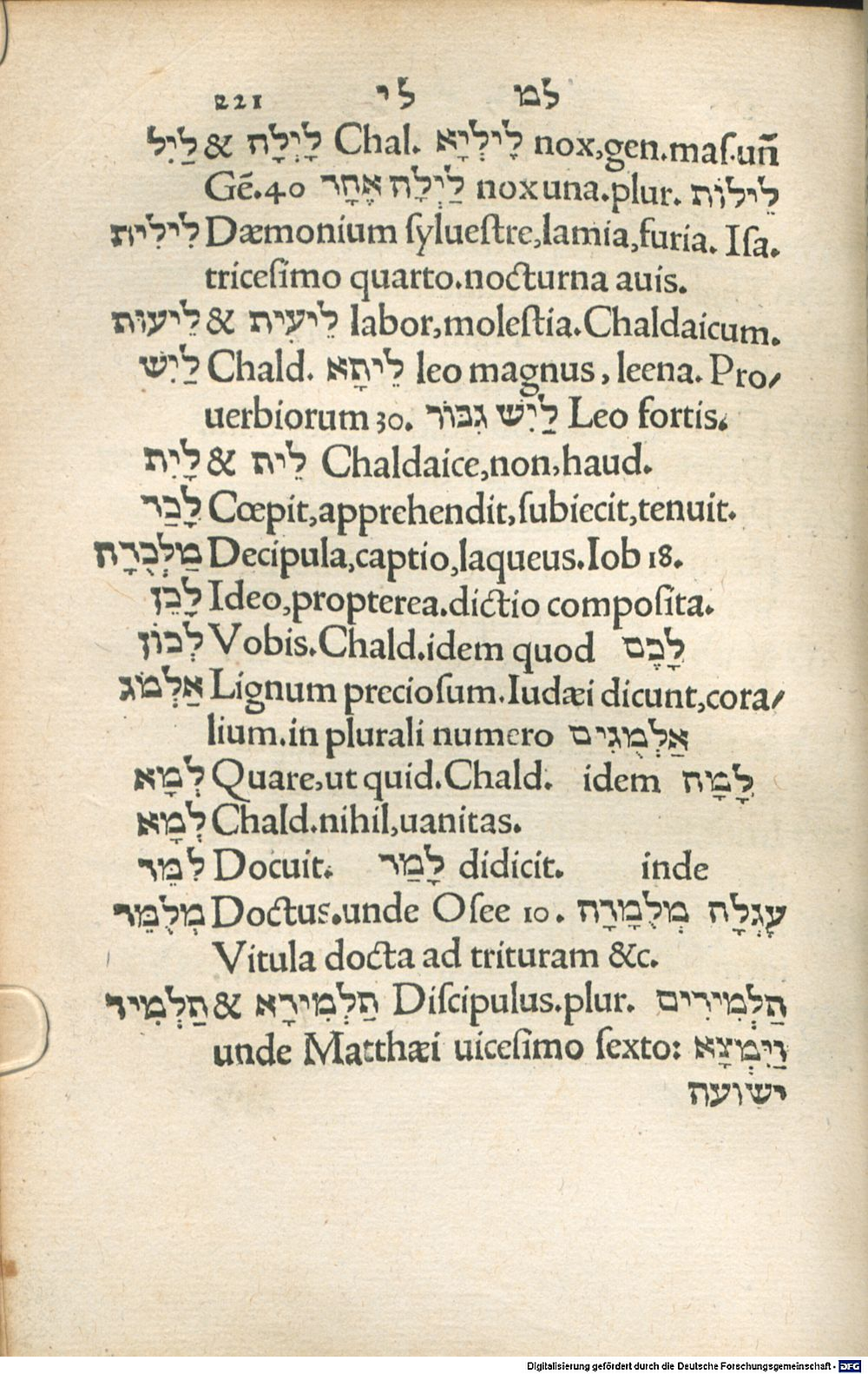 Image